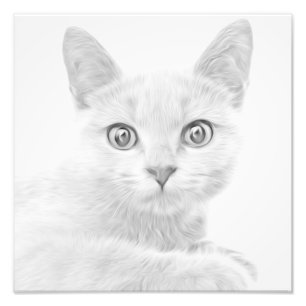 SUPER NIEDLICH Kitty Portrait Fotodruck