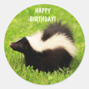 Super Niedlich Skunk Birthday Runder Aufkleber
