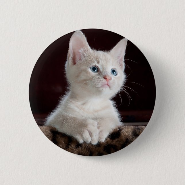 Super Niedlich White Kitten Button (Vorderseite)