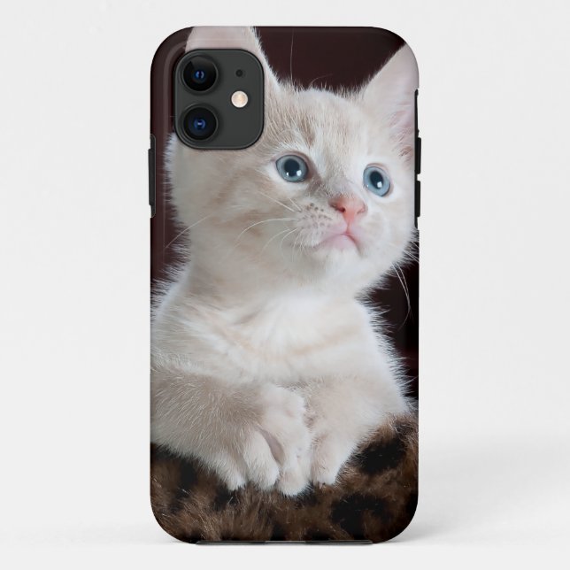 Super Niedlich White Kitten Case-Mate iPhone Hülle (Rückseite)