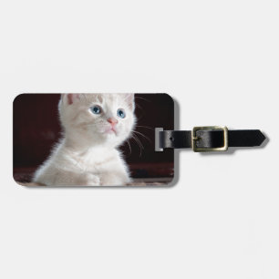 Super Niedlich White Kitten Gepäckanhänger