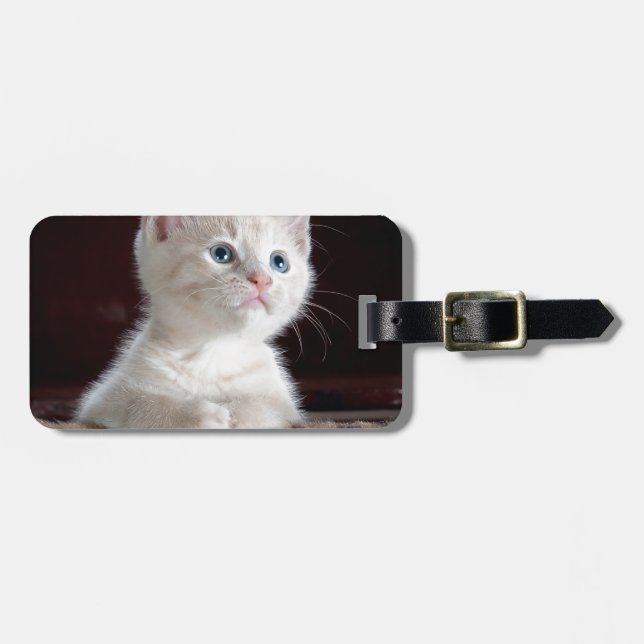 Super Niedlich White Kitten Gepäckanhänger (Vorderseite horizontal)