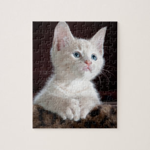 Super Niedlich White Kitten Puzzle