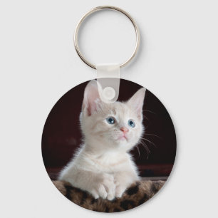 Super Niedlich White Kitten Schlüsselanhänger