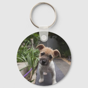 Super Niedliche Grenz Terrier Welpe Schlüsselanhänger