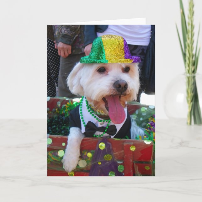 Super Niedliche Grußkarte! Karte (Vorderseite)