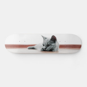 Super Niedliche schottische Fold Kitten Cat Skateboard