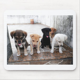 Super Niedliche Welpen Foto Mousepad