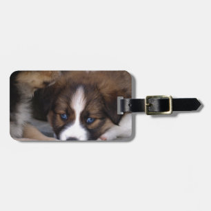Super Niedlicher Australian Shepherd Puppy Gepäckanhänger