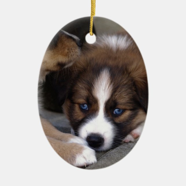 Super Niedlicher Australian Shepherd Puppy Keramikornament (Vorne)