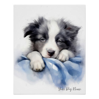 Super niedlicher Engel schlafend Welpe Border Coll Poster