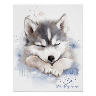 Super niedlicher Engel schlafend Welpe Sibirien Hu Poster