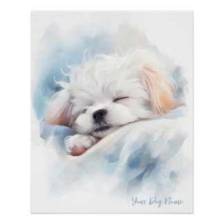 Super niedlicher Engel schlafender Welpe Maltese D Poster