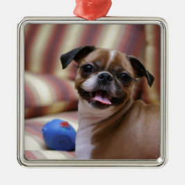 Super Niedlicher Hund mit ihrem Lieblingsball Silbernes Ornament