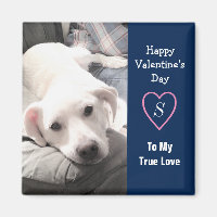 Super Niedlicher Valentinstag Navy Blauer Hund