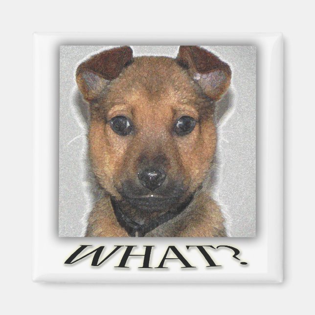 Super niedlicher Welpenmagnet Magnet (Vorne)