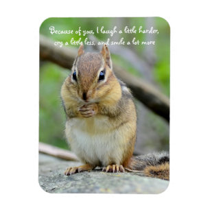 Super niedliches Chipmunk-Freundschafts-Zitat Magnet