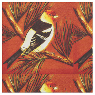 Super Punch Tanager Stoff