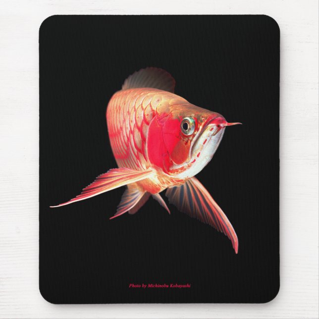 Super Red Arowana Mousepad (Vorne)