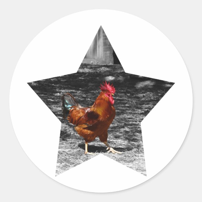 Super Star Chicken Runder Aufkleber (Vorderseite)