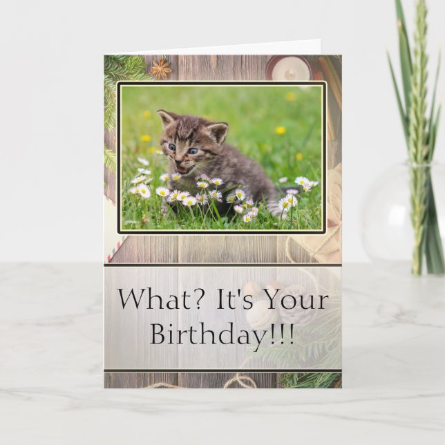 Super Suprised Happy Birthday Kitten Foto Card Karte (Vorderseite)