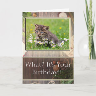 Super Suprised Happy Birthday Kitten Foto Karte