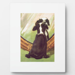 Super Sweet Vintag Baby Boston Terrier Fotoplatte