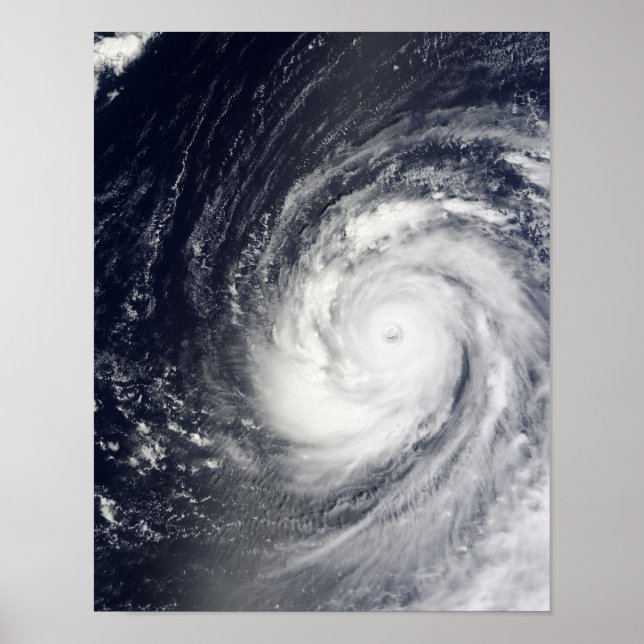 Super Typhoon Choi-wan Poster (Vorne)