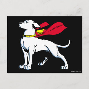 Superdog Krypto Postkarte