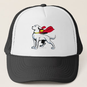 Superdog Krypto Truckerkappe