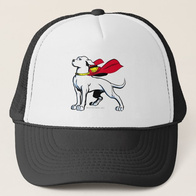 Superdog Krypto Truckerkappe (Vorderseite)