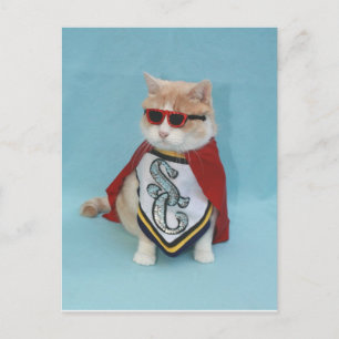 Superhero Bubba Postkarte