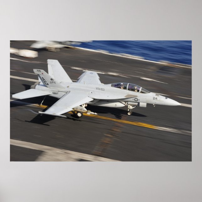 Superhornisse F/A-18 Poster (Vorne)