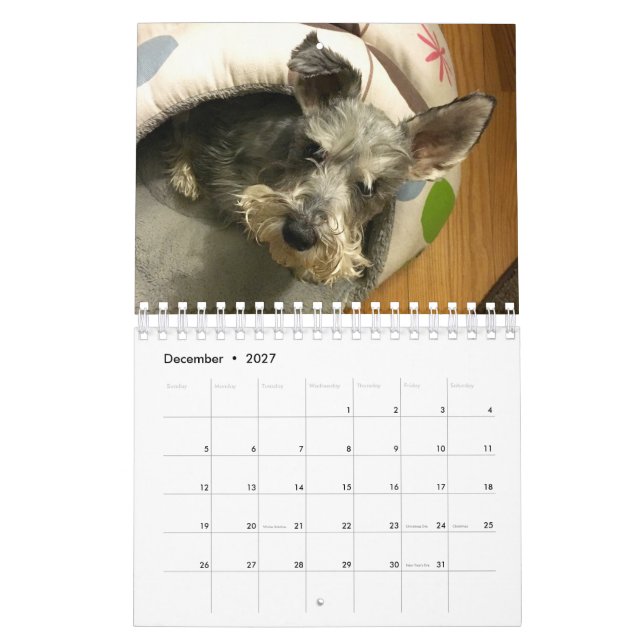 Superkalender owens 2016 kalender (Dez 2027)