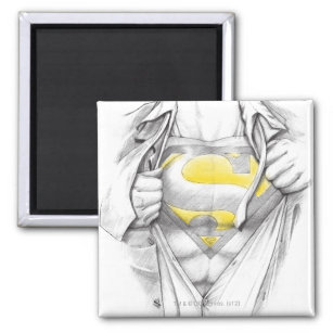 Superman-Logo auf dem Brustkorb Magnet
