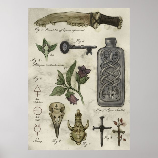 Supernatural History Hunters Artefakte Poster (Vorne)