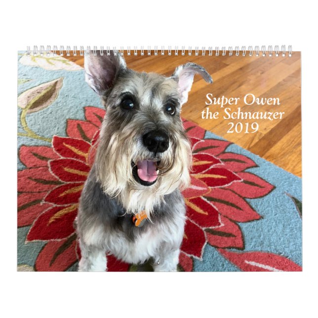 Superowen der Kalender des Schnauzer-2019 (Titelbild)