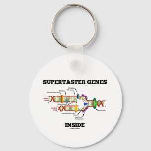Supertaster-Gen-Innere (DNS-Reproduktion) Schlüsselanhänger