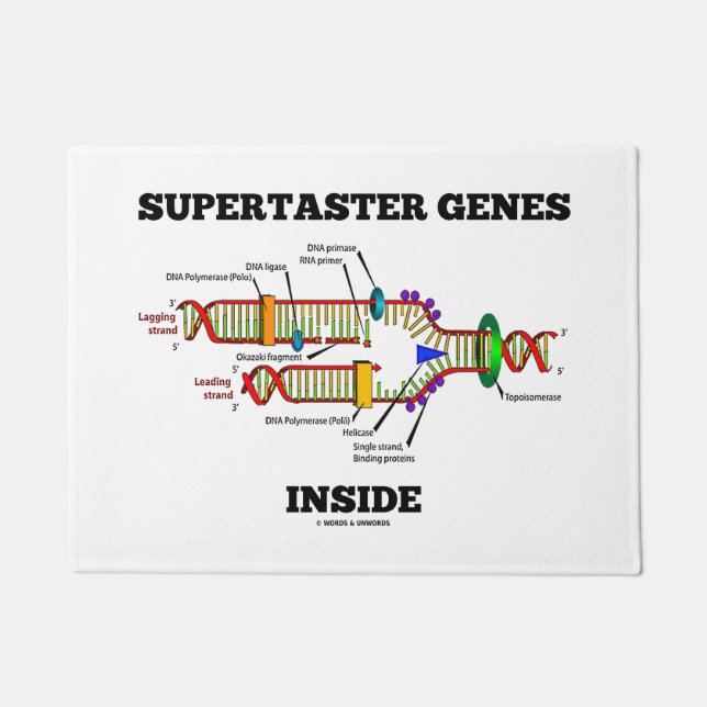 Supertaster-Gene innerhalb des DNA-Replikations-Sp Fußmatte (Vorderseite)