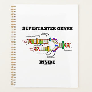 Supertaster-Gene innerhalb des DNA-Replikations-Sp Planer
