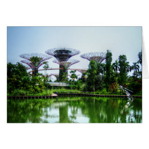 Supertrees und Libellensee