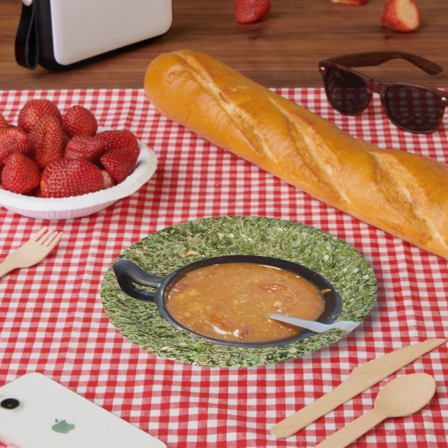Suppe auf der Papierplatte Pappteller (Picknick)