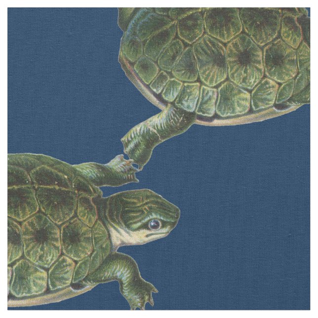 Suppenschildkröte Stoff (Nahaufnahme)