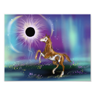Supraphe Eclipse Baby Horse WIP-Druck Fotodruck