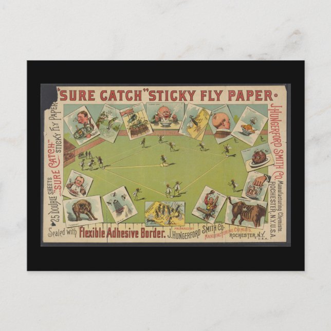 "Sure Catch" klebriges Fly Paper Postkarte (Vorderseite)