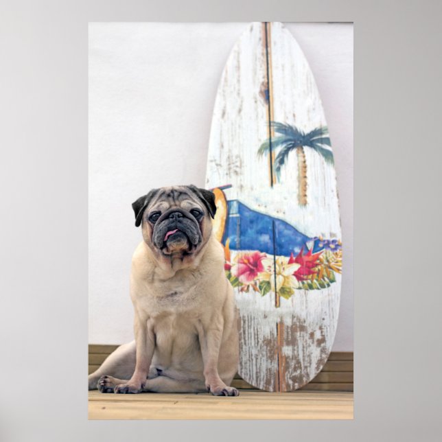 Surf-Mops Poster (Vorne)