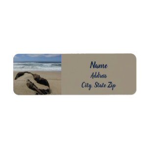 Surf Sand und Driftwood West Coast Landschaftsstra