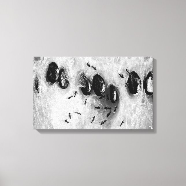 Surfameisen Leinwanddruck (Vorderseite)