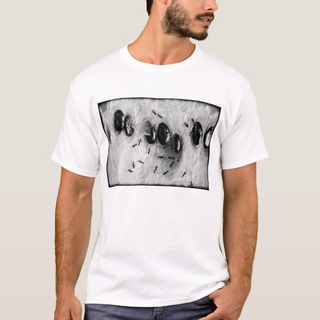 Surfameisen T-Shirt (Vorderseite)