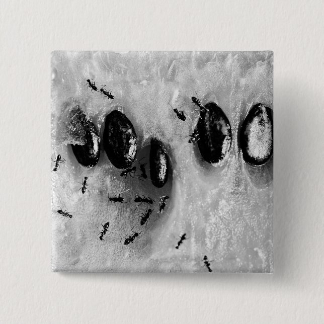 surfende Ameisen Button (Vorderseite)